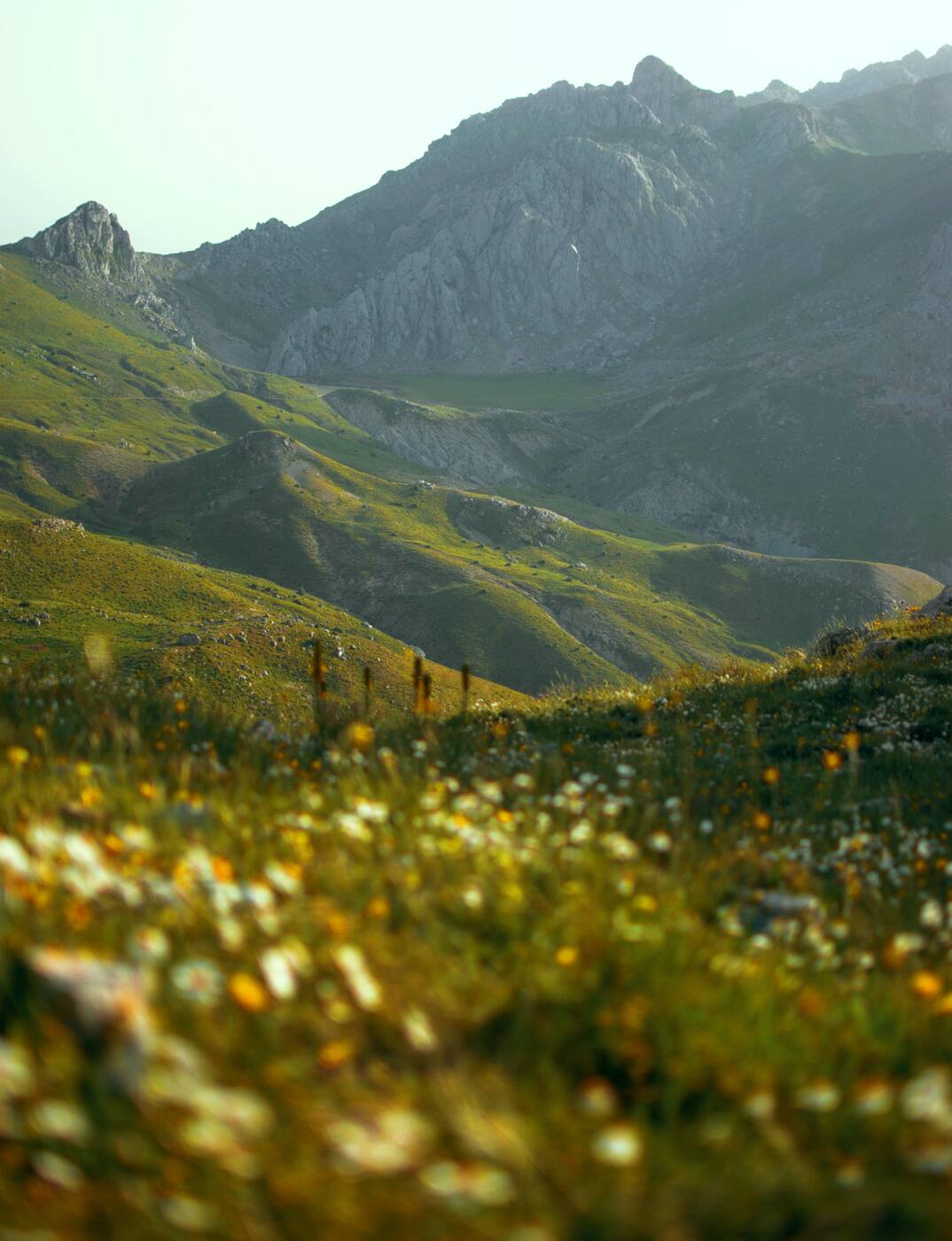 Vue sur les plaines de Kabylie