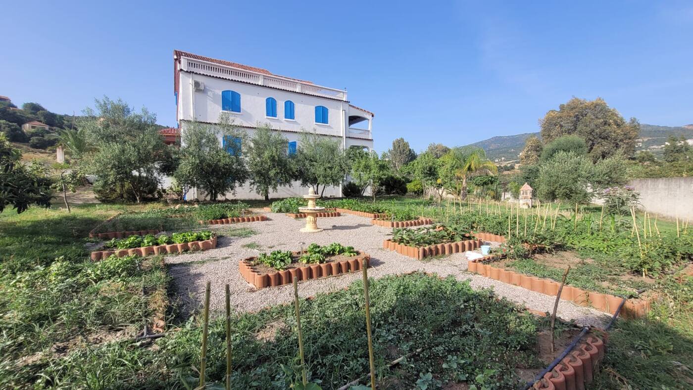 Le potager